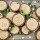 Woodland Christmas Log Cookies